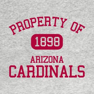 Property of Arizona Cardinals T-Shirt